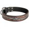 Handpainted Leather Black Russian Terrier Collar with Barbed Wire Drawing