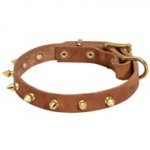 Walking Designer Leather Black Russian Terrier Collar with Brass Spikes
