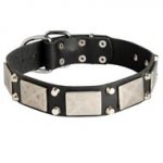 Leather Black Russian Terrier Collar Decorated with Nickel Cones and Plates