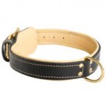 Padded Leather Black Russian Terrier Collar