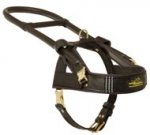 Guide and Assistance Leather Black Russian Terrier Harness