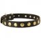 Leather Black Russian Terrier Collar with Brass Circles for Fashionable Walking