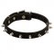 Black Russian Terrier Leather Collar Spiked 3/4 Inch