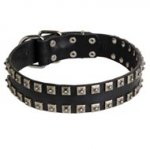 New Leather Black Russian Terrier Collar - Fashion Exclusive Design - "Caterpillar"