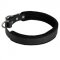 Padded Leather Black Russian Terrier Collar 25 mm for Dog Training