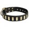 Fancy Leather Black Russian Terrier Collar with Brass Plates