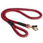 Nylon Cord Black Russian Terrier Leash for Walking and Training