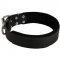Black Russian Terrier Durable Padded Leather Collar 40 mm