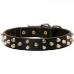 Fancy Design Leather Black Russian Terrier Collar with Nickel Pyramids