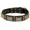Black Russian Terrier Spiked Leather Collar with Nickel Plates