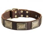 Leather Black Russian Terrier Collar with Massive Brass Plates