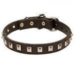 Black Russian Terrier Leather Collar Caterpillar Design