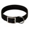 2 Ply Nylon Black Russian Terrier Collar