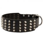 Extra Wide 4 Rows Studded Leather Black Russian Terrier Collar