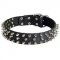 Leather Black Russian Terrier Collar with 3 Rows of Nickel Spikes