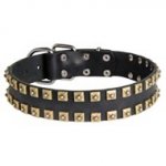 2 Rows Brass Studded Leather Black Russian Terrier Collar for Walking and Training