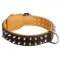 Spiked Black Russian Terrier Collar Padded with Nappa Leather