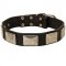 Leather Black Russian Terrier Collar with Large Nickel Plates
