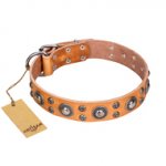 Extra Sparkle' FDT Artisan Handcrafted Tan Leather Dog Collar