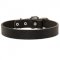 Black Russian Terrier Leather Dog Collar For Pleasant Wearing