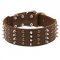 Extra Wide Leather Spiked and Studded Black Russian Terrier Collar
