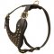 Adjustable Studded Leather Black Russian Terrier Harness for Fashion Walking