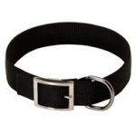 2 Ply Nylon Black Russian Terrier Collar