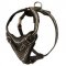 Painted Leather Black Russian Terrier Harness for Walking and Training