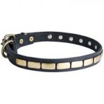Black Russian Terrier Leather Collar Brass Plates 25 mm