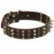 Black Russian Terrier Spikes and Studs Rows Leather Dog Collar