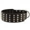 Extra Wide 4 Rows Studded Leather Black Russian Terrier Collar