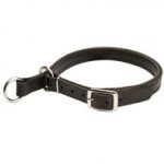 Black Russian Terrier Leather Choke Collar