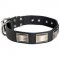 Leather Black Russian Terrier Collar Massive Nickel Plates