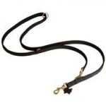 Nylon Black Russian Terrier Leash for Patrolling, Walking and Training