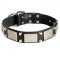 Leather Black Russian Terrier Collar Decorated with Nickel Cones and Plates