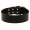 Extra Wide Leather Black Russian Terrier Collar for Professional Training