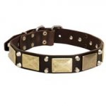 Leather Black Russian Terrier Collar with Studs and Plates