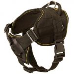 Nylon Black Russian Terrier Harness for Pulling Tracking Training