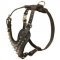 Spiked Leather Black Russian Terrier Harness for Fashionable Walking