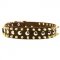 Spiked and Studded Black Russian Terrier Leather Collar