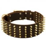 Wide Spiked Leather Black Russian Terrier Collar