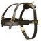 Leather Black Russian Terrier Harness for Tracking and Pulling