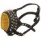 Royal Spiked and Studded Leather Black Russian Terrier Muzzle