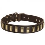 Leather Black Russian Terrier Collar with Awesome Brass Plates