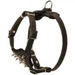 Durable Spiked Leather Puppy Black Russian Terrier Harness