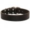 Wide Leather Black Russian Terrier Collar for Training and Walking