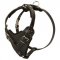 Protection Leather Black Russian Terrier Harness for Attack / Agitation Dog Training