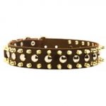 Spiked and Studded Black Russian Terrier Leather Collar