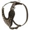Adjustable Leather Black Russian Terrier Harness Studded for Fashion Walking