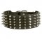 Black Russian Terrier Leather Collar Spiked and Studded
